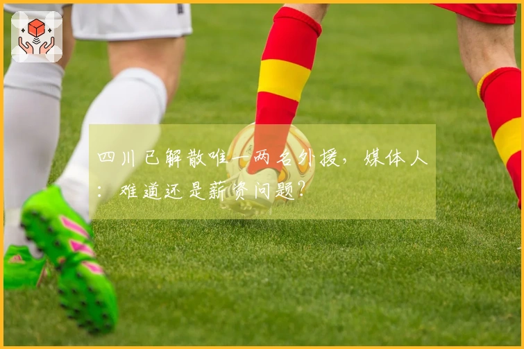 四川已解散唯一两名外援，媒体人：难道还是薪资问题？